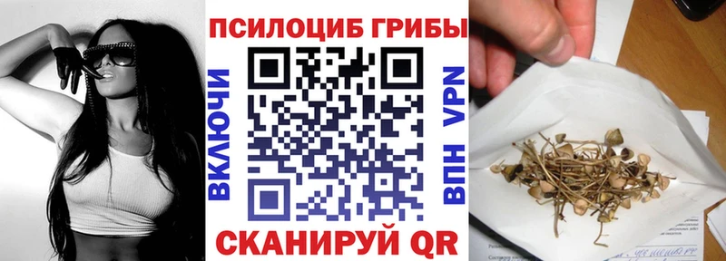 Купить закладки  Калуга  Псилоцибиновые грибы мухоморы 